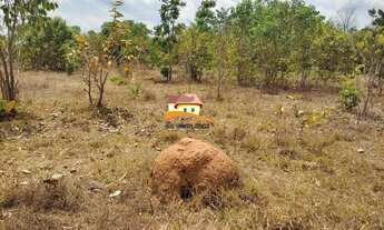 Imagem 4: Fazenda para Venda em Palmas, Região produtora consolidada