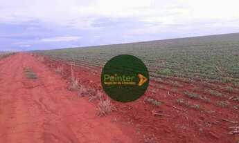 Imagem 3: Fazenda à venda, 1597200 m² por R$ 16.500.000,00 - Fazenda Santa Bárbara de Baixo - Santa