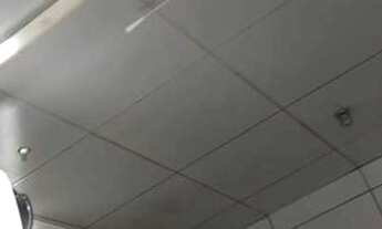 Imagem 5: Alugar casa Casa com 2 dormitórios