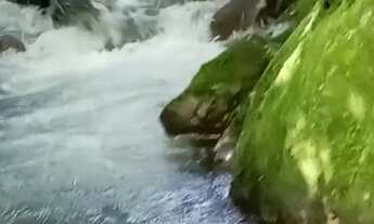 Imagem: Sítio espetacular, 2 hectares com cachoeira