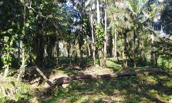 Imagem 5: Vendo Linda Área com Fundos para Rio Nhumdiaquara em Morretes