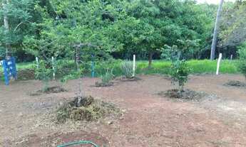 Imagem 4: Vendo Sítio 50.000m2 (1 alqueire), apenas 2km de terra, antes da Chapada dos Perdizes