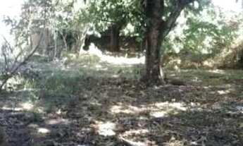 Imagem 3: Terreno à venda, 1 m² por R$ 590.000,00 - Centro - União/PI