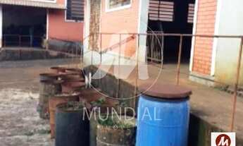 Imagem 6: Salão/Galpão (salão - sobradinho parte inferior) 2 dormitórios/suite