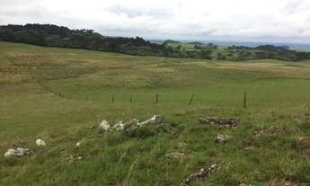 Imagem 7: Lote em São Francisco de Paula - Centro - São Francisco de Paula/RS