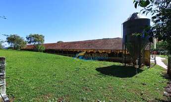 Imagem 6: Sítio à venda, 1365 m² por R$ 2.700.000,00 - São Salvador - Cascavel/PR