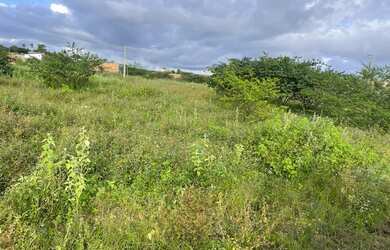 Imagem: Mini Sítio Haras Recanto