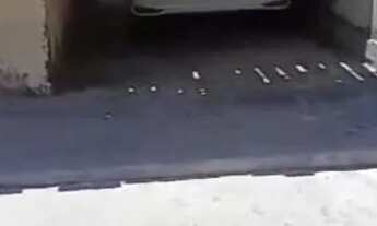 Imagem 7: Vende-se 2 casas ?terrenos do lado