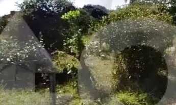 Imagem 6: Terreno na Zona de expansão, no bairro Mosqueiro