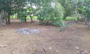 Imagem 3: /Lote com 800 m2 em Açutuba