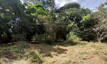 Imagem 6: Terreno 4.340 m² - 18 min Pirinópolis - 12 min Salto Corumbá - Plano e Arborizado