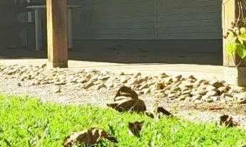 Imagem 4: Terreno com viabilidades para prédio comercial!