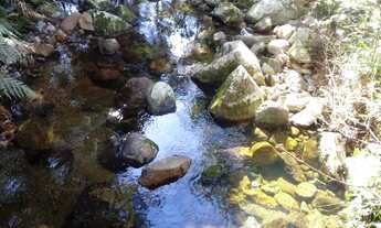 Imagem 3: Natureza viva e original