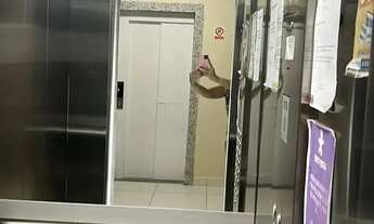 Imagem 5: Apartamento à venda no HORIZONTES DO LITORAL , CRUZ DAS ALMAS, Maceió, AL