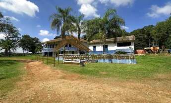 Imagem 3: Fazenda com 58 alqueires à venda em Laranjal Paulista-SP