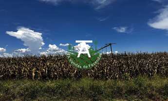 Imagem 3: Fazenda de 54 alq em Itapirapuã-GO