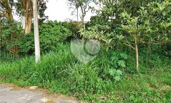 Imagem 2: Loteamento à venda em Roseira - SP