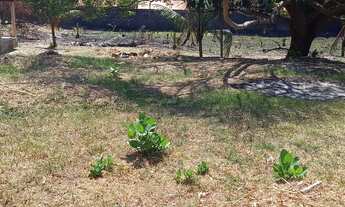 Imagem 5: PRAIA DE PANAQUATIRA: Casa a venda a 600m da beira da praia - Ilha de São Luís-Ma