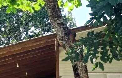 Imagem 7: Terreno com viabilidades para prédio comercial!