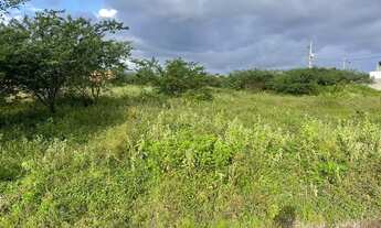 Imagem 4: Mini Sítio Haras Recanto