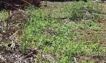 Imagem 2: Lote No Jardim Marliliza Proximo Do Jardins França