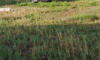 Imagem 6: Lote plano de 420m² em Unamar, Cabo Frio-RJ