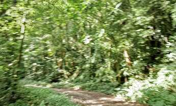 Imagem 4: 20 mil MTS rico em agua 79 mil reais 14 km da rodovia Regis Bittencourt