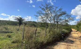 Imagem 6: Oportunidade localização privilegiada zona rural de Irará