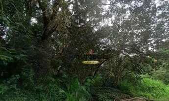 Imagem 3: Terreno à venda, 600 m² por R$ 198.000,00 - Sítio Jandaia - São Bernardo do Campo/SP