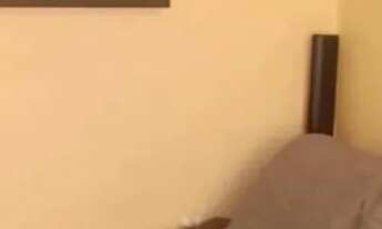 Imagem 7: Térrea para venda possui 175 metros quadrados com 3 quartos em Vila Isolina Mazzei - São P