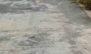 Imagem 7: Lote em Três Marias