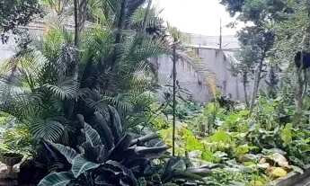 Imagem 3: TERRENO - SANTO ANTÔNIO - SP