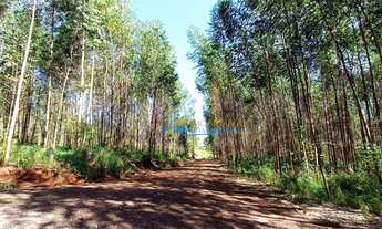 Imagem 3: Sítio à venda, 1365 m² por R$ 2.700.000,00 - São Salvador - Cascavel/PR