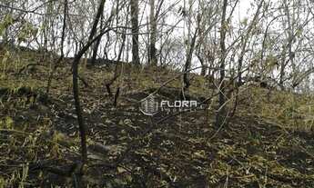 Imagem 6: Terreno à venda, 412 m² por R$ 110.000,00 - Maria Paula - Niterói/RJ