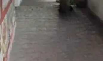 Imagem 4: COMERCIAL - CAMPO BELO - SP