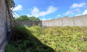 Imagem 4: LOTE À VENDA ILHA DA CROA