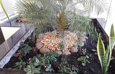 Imagem 5: Apartamento em Rua Doutor Mário Totta - Tristeza - Porto Alegre/RS