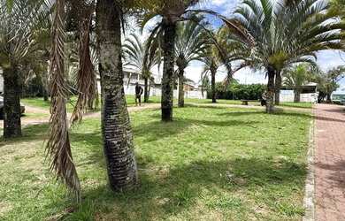 Imagem 5: Terreno em São José do Barreto - Macaé