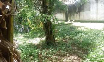 Imagem 2: Camping no rio vermelho