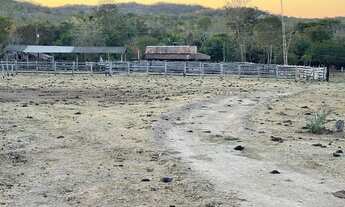Imagem 6: Fazenda em crixas
