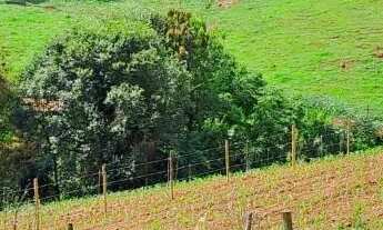 Imagem: EXCELENTE TERRENO DE 22.000M² EM RIO MANSO