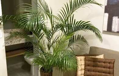 Imagem 7: Oportunidade FLAT no Buritis!