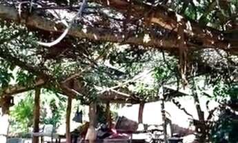 Imagem 2: GM-10- São João do Paraiso- Cambuci-RJ- R$1.800,00,00