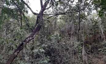 Imagem 2: Vendo chácara Núcleo Rural Bom Sucesso