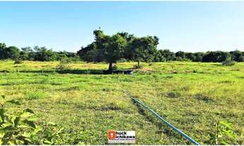 Imagem 4: Fazenda de 150 tarefas - Colônia Treze - Lagarto