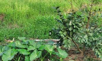 Imagem 5: Maravilhoso Sítio 3,5 Hectáres em Torreões