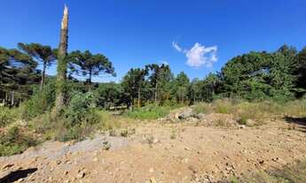 Imagem 3: Terreno à venda, 450 m² por R$ 294.500 - Avenida Central - Gramado/RS