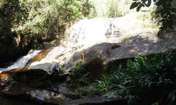 Imagem 4: Fazenda em Paraibuna - VENDA
