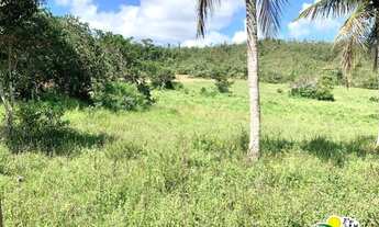 Imagem 7: Fazenda à Venda em Alagoinhas - Bahia