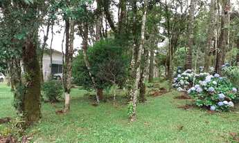 Imagem 3: CH07 Fazenda/Sítio/Chácara para venda tem 2.000 metros quadrados em Zona Rural - Três Coro